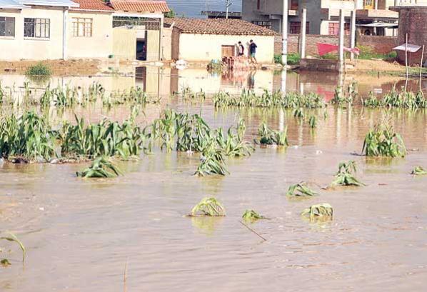 floods bolivia