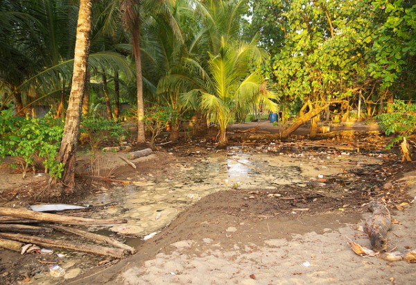 Flood prone area in Gabagaba, Papua New Guinea. Photo: Nick Hobgood