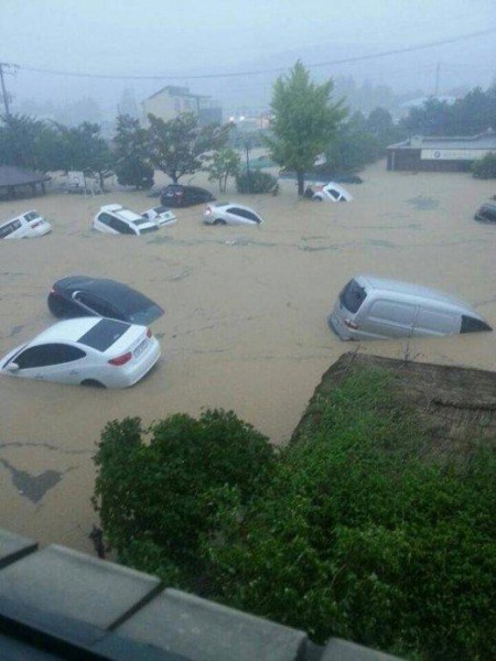 Cars floating in the streets of Busan. Photo: Twitter