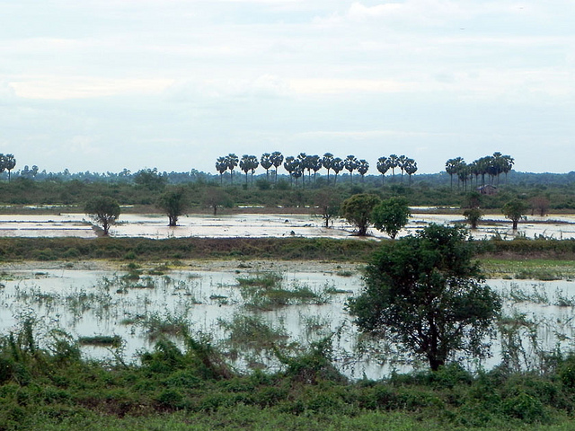 File photo: Flooded countryside in Cambodia