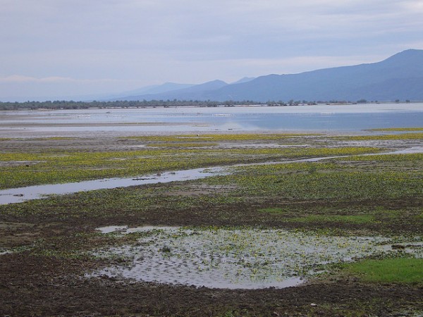 lake kerkini greece
