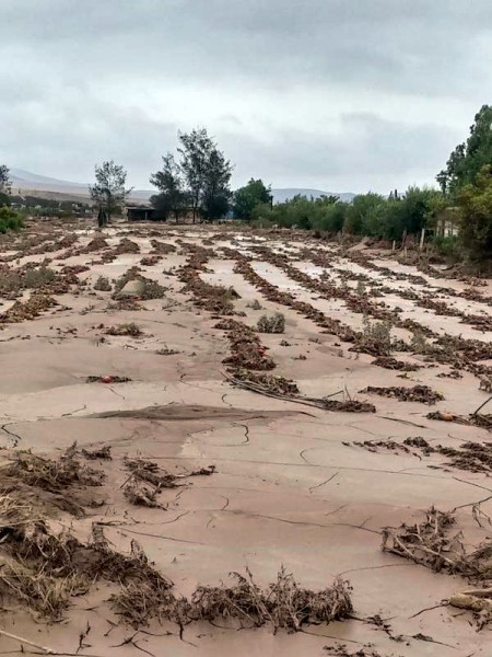 Flood damaged crops Copiapo, Atacama, Chile. Photo: MINAGRI