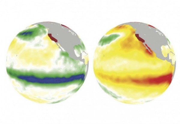 La Niña, left, cools off the ocean surface (greens and blues) in winter 1988; El Niño, right, warms it up (oranges and reds) in winter 1997. Image: Jin-Ho Yoon/PNNL