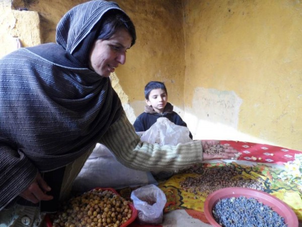 Robina Gul shows seeds from different plant species she has collected in the forest around her village in Pakistan's Khyber Pakhtunkhwa province, as her son looks on. TRF/Aamir Saeed