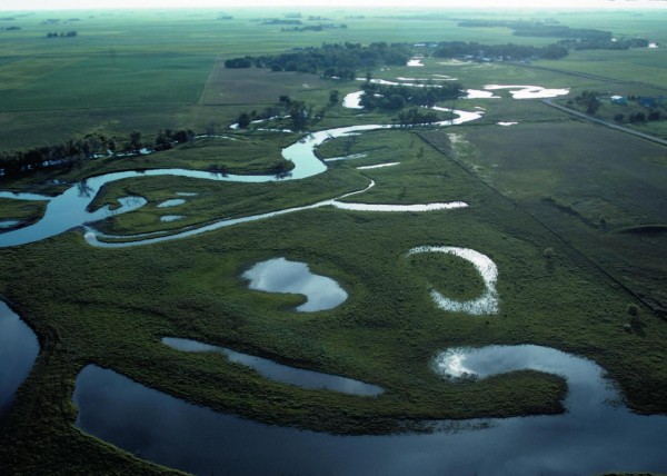 Riverine wetlands such as these in northwest Iowa used to be commonplace across much of the Midwest, but millions of acres of them have disappeared since European settlement. Credit: Photo courtesy of the USDA Natural Resources conservation Service