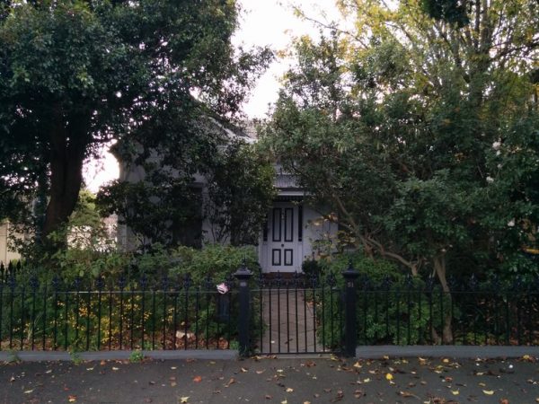  Gardens with dense vegetation made of trees, shrubs and grasses intercept substantial volumes of rainwater, decreasing runoff reaching sewage systems and waterways. This type of vegetation also helps to cool buildings during summer, reducing energy consumption. Courtesy Alessandro Ossola 