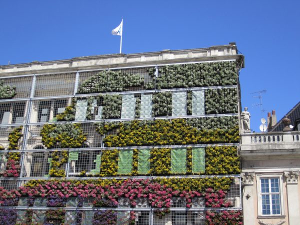 'Living wall' system - a green map of Europe on the building of the European Environment Agency office in Copenhagen. Photo La Citta Vita, CC BY-SA 2.0 