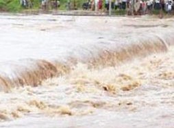3 More Killed in Odisha Floods