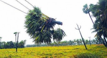 Cyclone Helen Update