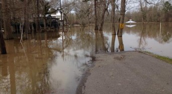 Amite River Breaks Banks Near Baton Rouge, Louisiana