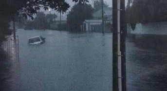 New Zealand Insurance Industry Calls for Better Risk Reduction