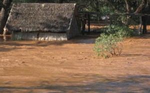 Eight Die in Swaziland Floods