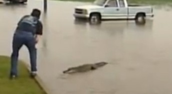 Louisiana Floods – Floating Caskets and Stray Alligators