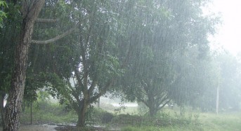 Floods in 5 Thailand Provinces