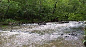 Floods Contaminate Rivers in North Carolina