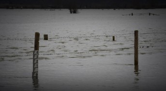 floods on somerset levels 2014