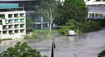 Guardian Evacuations App Wins Resilience Prize