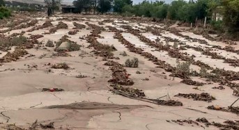 Chile Floods – Government Promises Help for Farmers