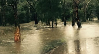 3 Killed in Floods After 300mm of Rain in New South Wales, Australia