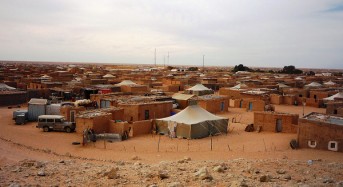 Algeria – Floods Hit Sahrawi Refugee Camps