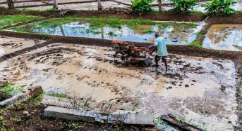 Sri Lanka Seeks Ways to Turn El Niño Pain into Gain for Farmers