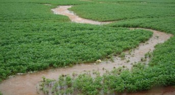 Brazil – Floods Affect 65,000 in Mato Grosso do Sul