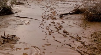 Kenya – 3 Months of Flooding Leaves 112 Dead and Over 100,000 Displaced
