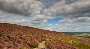 UK Floods – Revitalising Natural Landscapes Can Reduce Flood Risk