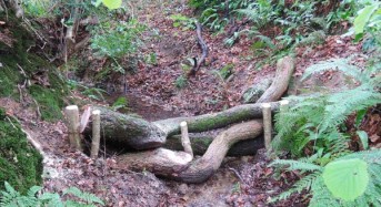 UK – Government Announces £1 million Natural Flood Management Competition
