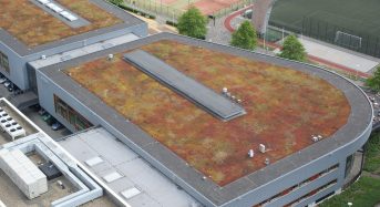 How Green Roofs Can Protect City Streets From Flooding