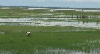 Living With Floods – Chaur Communities of  the Teesta River