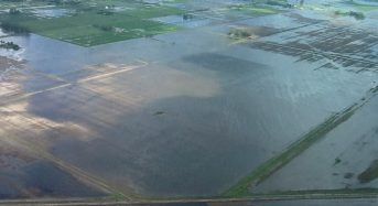 Rainfall Changes Threaten Food Production