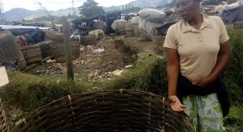 Zimbabwe – Heavy Rains Wash Away Roads, Leaving Crops Stranded