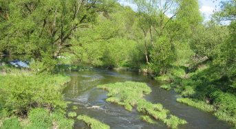 Preservation of Floodplains Is Flood Protection – Study
