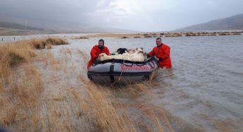Iceland – Flooding in South and East After Rivers Overflow