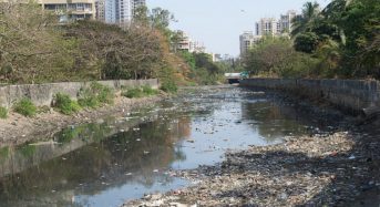 India – Mumbai Floods: What Happens When Cities Sacrifice Ecology for Development