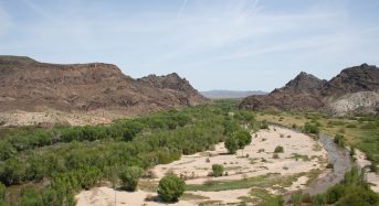 Floods Are Necessary for Maintaining Healthy River Ecosystems, Research Shows