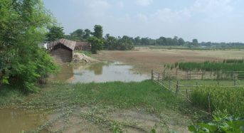 India’s Water-Logged Farmers Try Out Revamped Flood Insurance