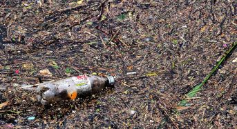 Study Finds Floods Wash Microplastics From Polluted Rivers Into Sea