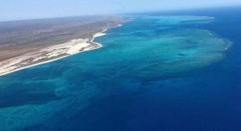 Coral Reefs Protect Coasts From Severe Storms – Study