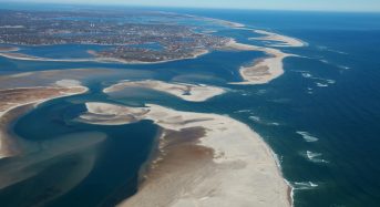 Global Study of World’s Beaches Shows Threat to Protected Areas