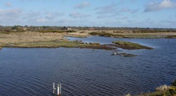 Sea-Level Rise Threatens UK Salt Marshes, Study Says