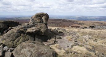 Caring for the Hills Protects Us From Flooding, Says New Research