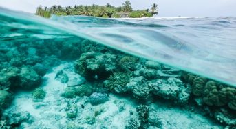 Coral Reefs Provide Flood Protection Worth $1.8 Billion Every Year – It’s Time to Protect Them