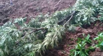 Uganda – 5 Dead, Dozens Missing After Landslides in Eastern Region