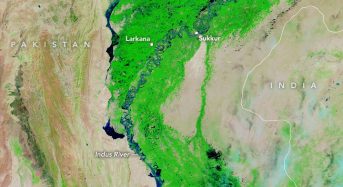 Pakistan – 300,000 in Need of Food Assistance After Floods in Sindh, Says WFP