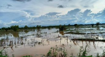Nigeria – Floods Destroy Crops and Homes in North